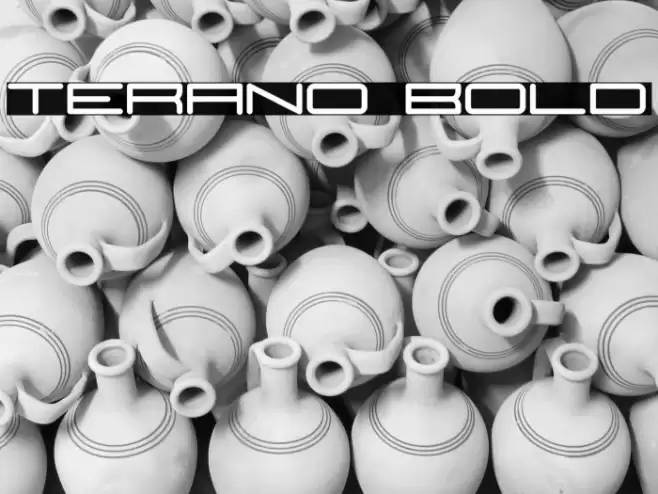 Terano Bold Font examples