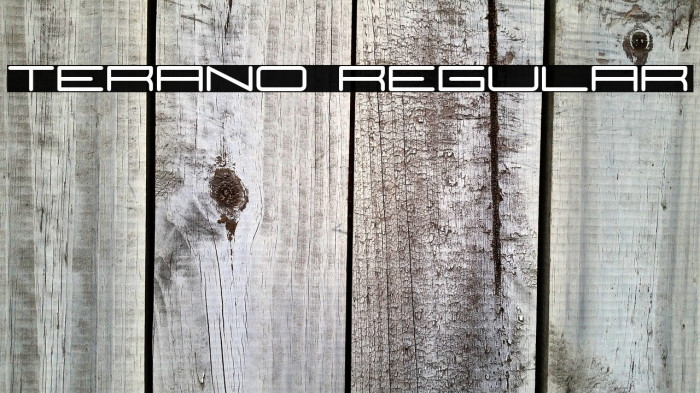 Terano Regular Example 2