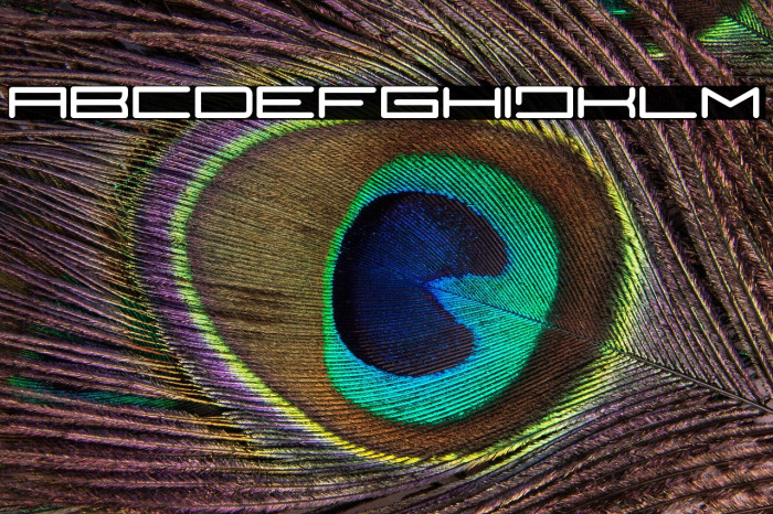 TeranoBold-Bold Example 1