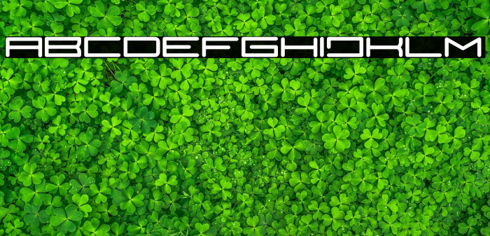 TeranoBold-Bold Example 3