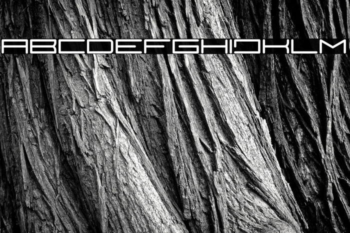 TeranoRegular Example 1