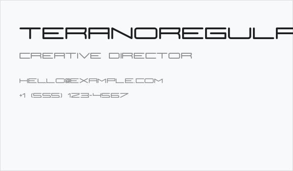 TeranoRegular Business Card