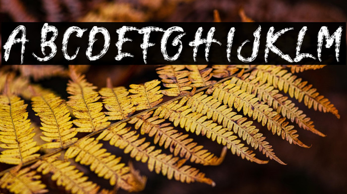 Terasu Brush Example 2