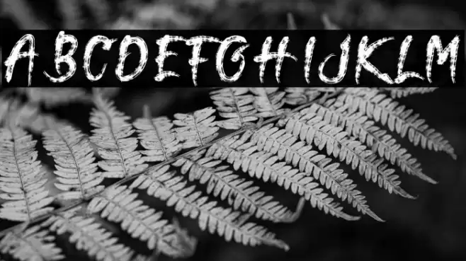 Terasu Brush Font examples