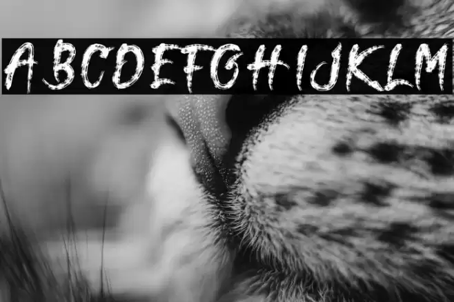 Terasu Brush Font examples