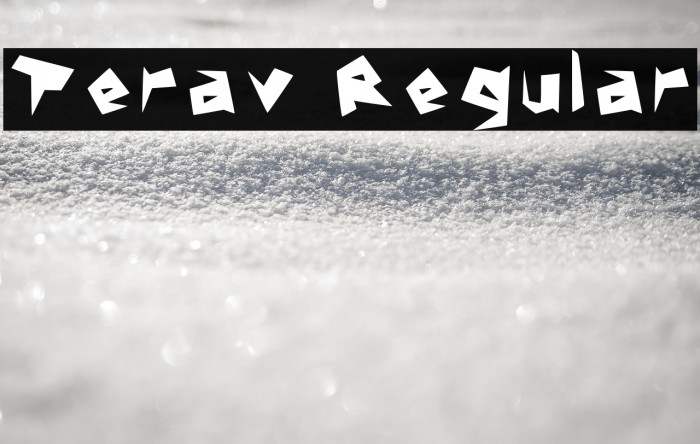 Terav Regular Example 2