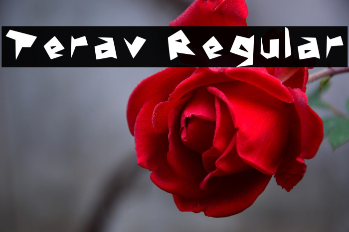 Terav Regular Example 3