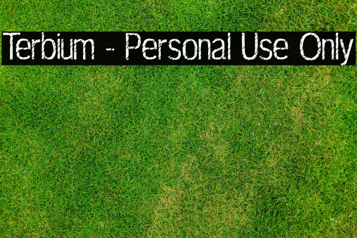 Terbium - Personal Use Only Example 1