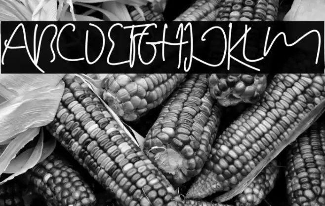 Terecia Font examples