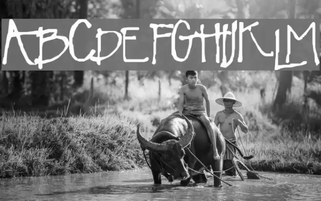 Terentino Font examples