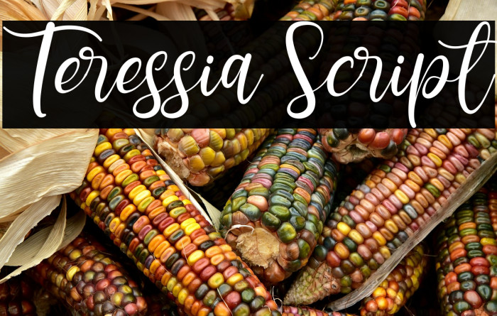 Teressia Script Example 3