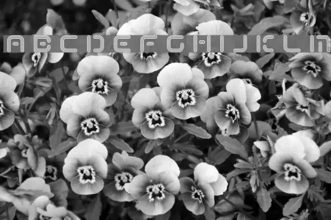 Term-RegCcc Schriftart examples