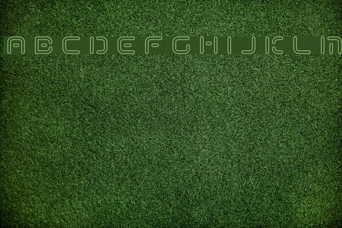 Term-RegDdd Font examples