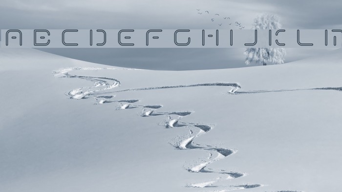 Term-RegFff Font examples