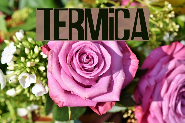Termica Example 2