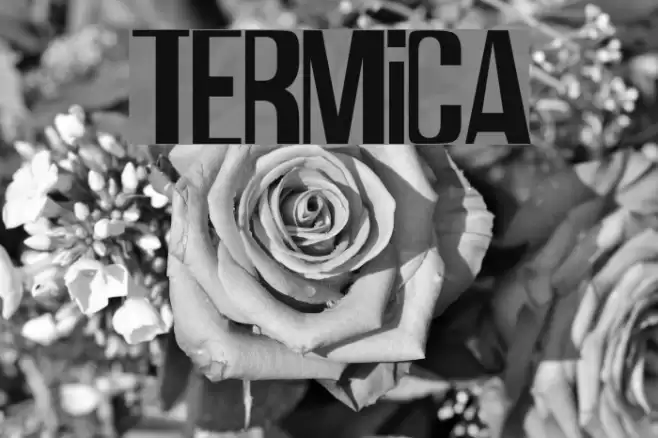 Termica Font examples