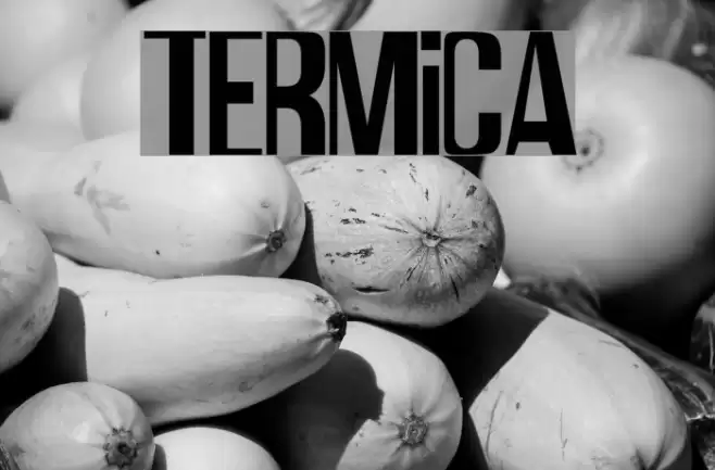 Termica Font examples