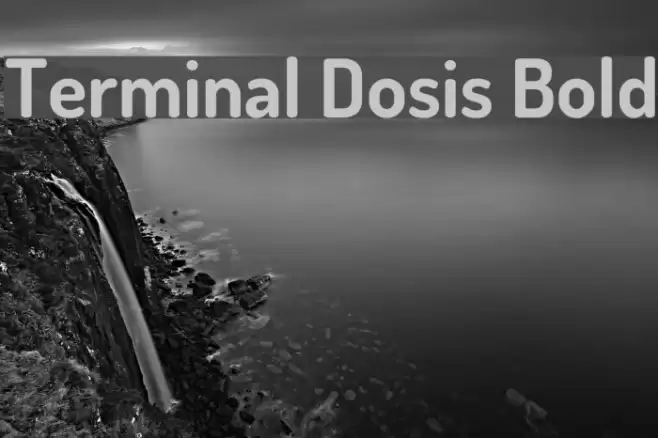 Terminal Dosis Bold Font examples