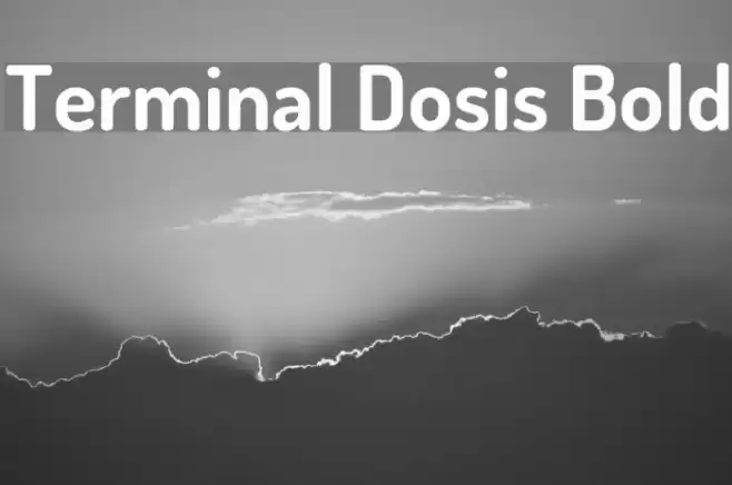 Terminal Dosis Bold Font examples