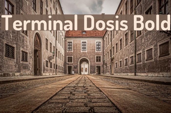 Terminal Dosis Bold Font examples