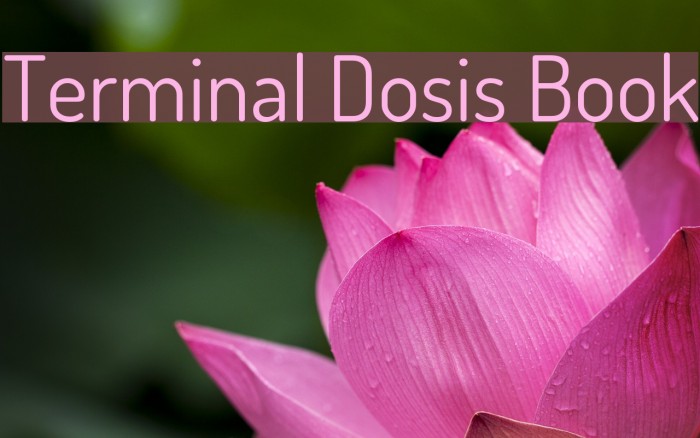Terminal Dosis Book Font examples