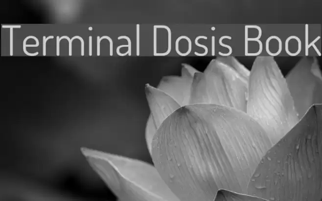 Terminal Dosis Book Font examples