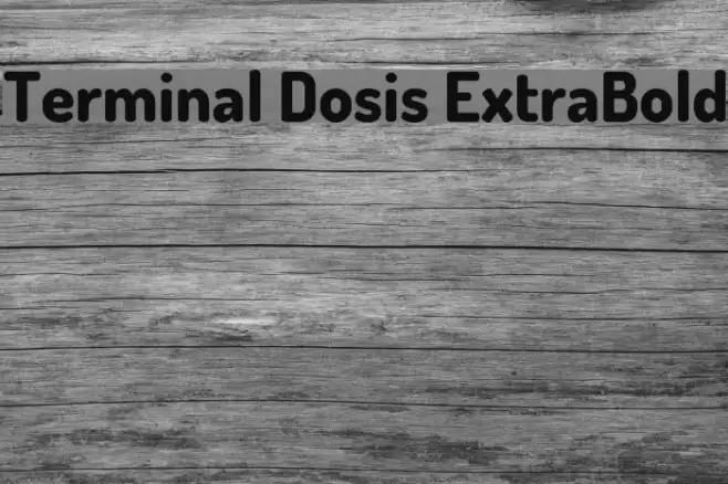 Terminal Dosis ExtraBold Font examples