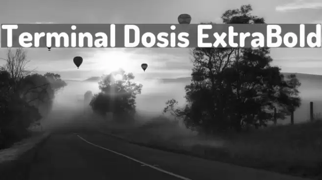 Terminal Dosis ExtraBold Font examples