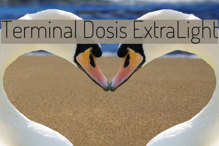 Terminal Dosis ExtraLight Font examples