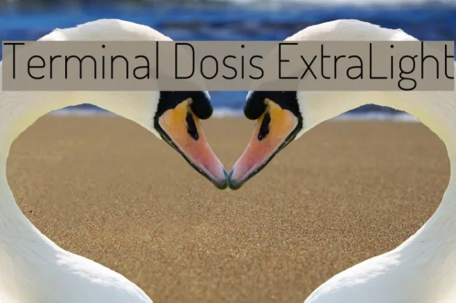 Terminal Dosis ExtraLight Example 1