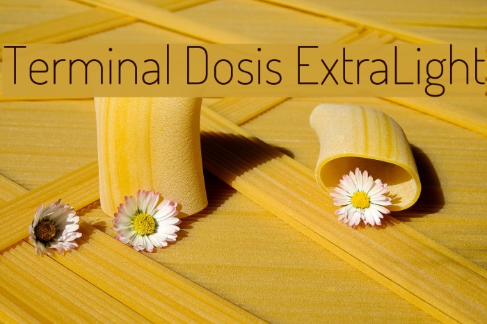 Terminal Dosis ExtraLight Font examples