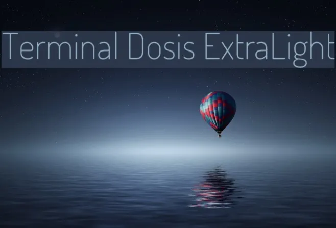 Terminal Dosis ExtraLight Example 3