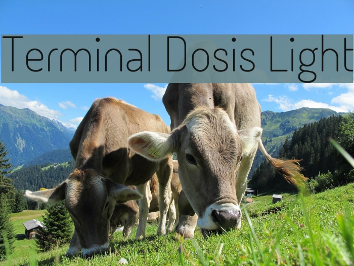 Terminal Dosis Light Font examples
