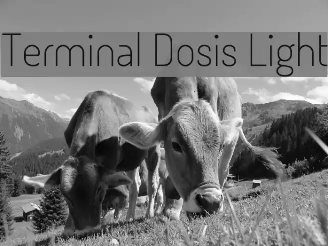 Terminal Dosis Light Font examples