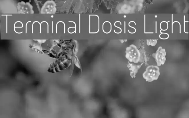 Terminal Dosis Light Font examples