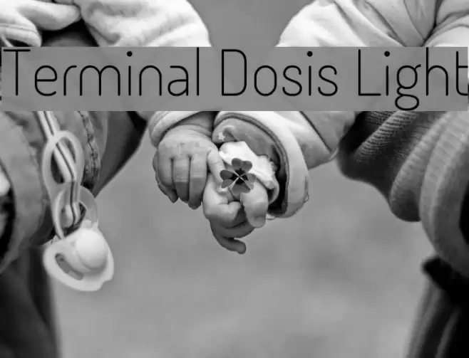 Terminal Dosis Light Font examples