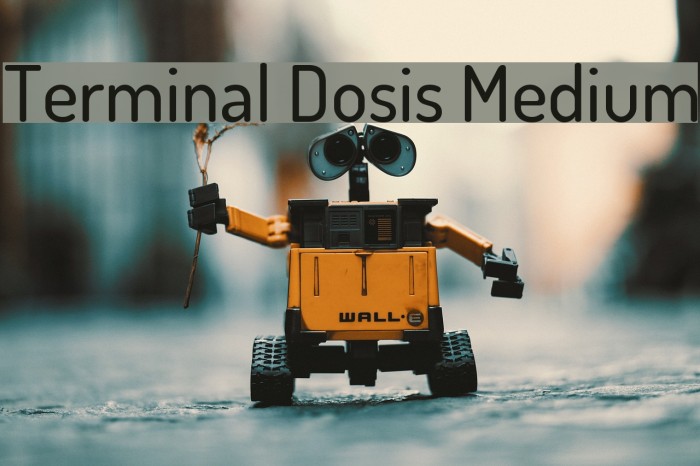 Terminal Dosis Medium Font examples