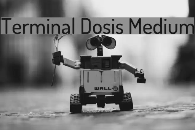 Terminal Dosis Medium  examples