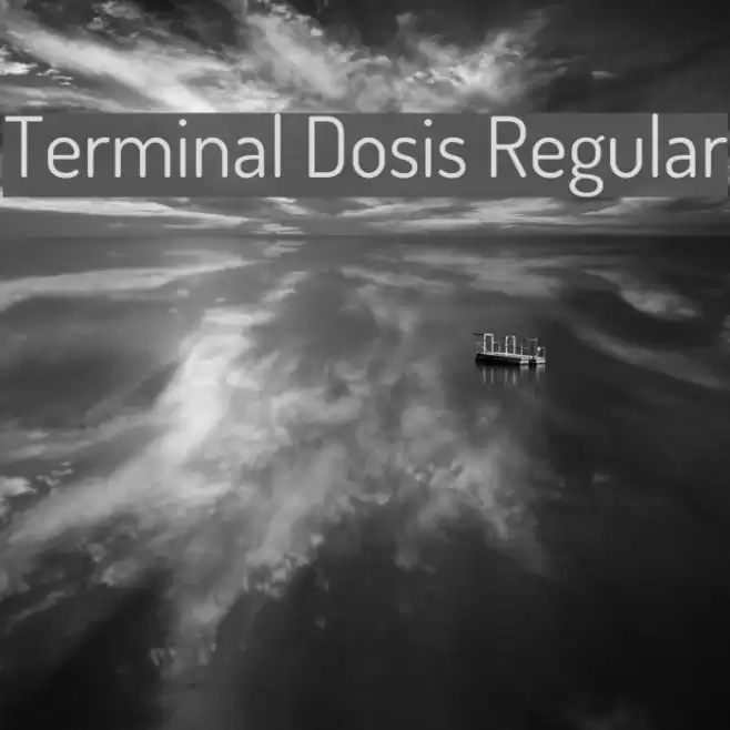 Terminal Dosis Regular Font examples