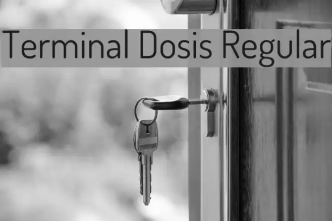 Terminal Dosis Regular Font examples