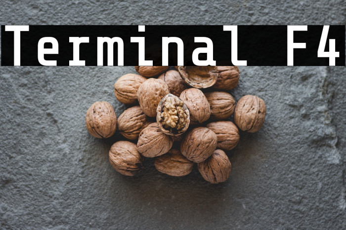 Terminal F4 Example 1