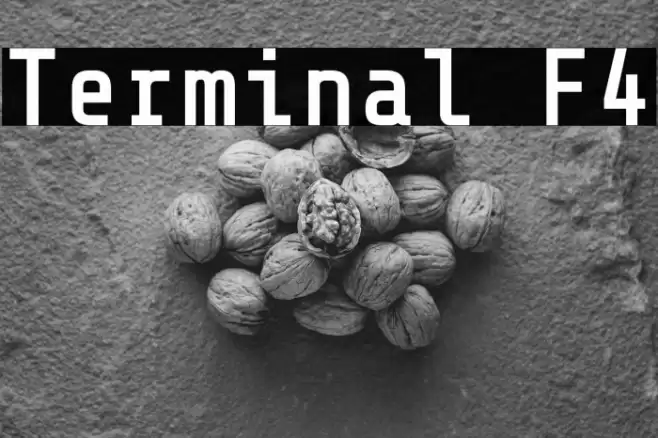 Terminal F4 Font examples