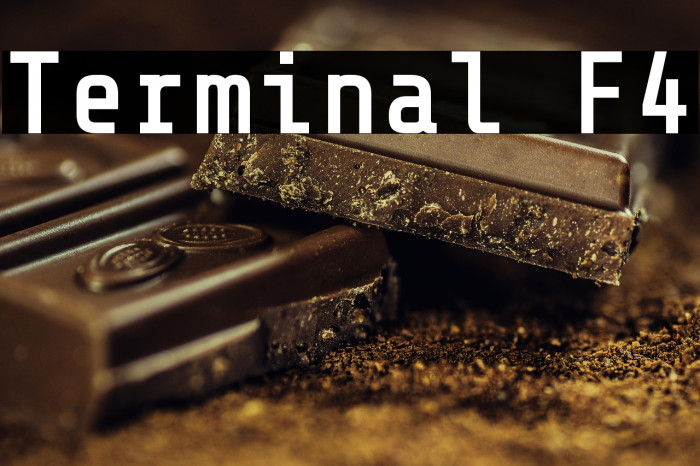 Terminal F4 Example 3