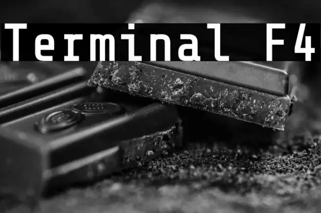 Terminal F4 Font examples