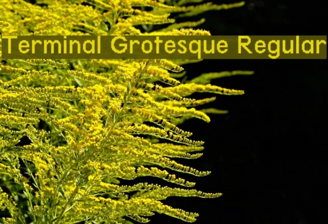 Terminal Grotesque Regular Example 2