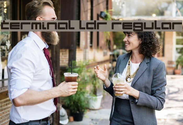 Terminal LDR Regular Example 1