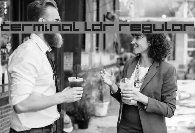 Terminal LDR Regular Font examples