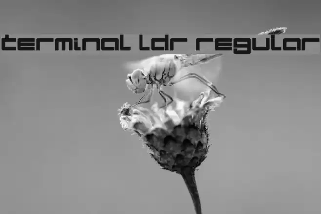 Terminal LDR Regular Font examples