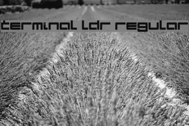 Terminal LDR Regular Font examples