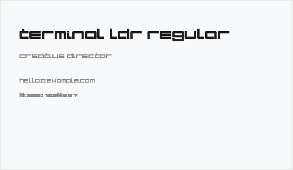 Terminal LDR Regular Business Card